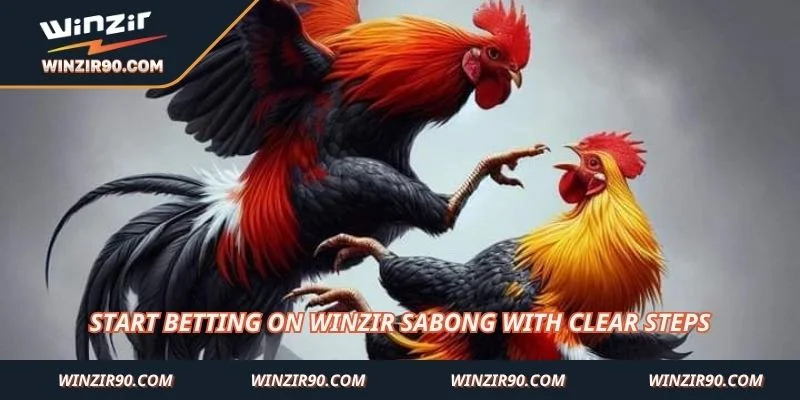Start betting on Winzir Sabong with clear steps