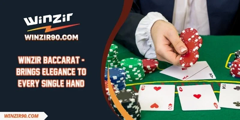 Winzir Baccarat - Brings Elegance To Every Single Hand