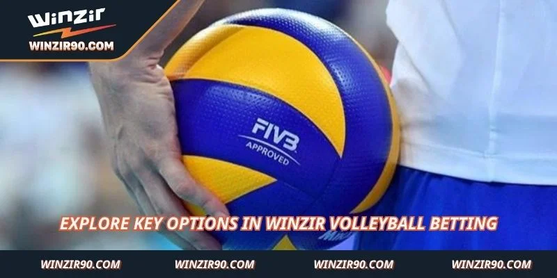 Explore key options in Winzir Volleyball Betting