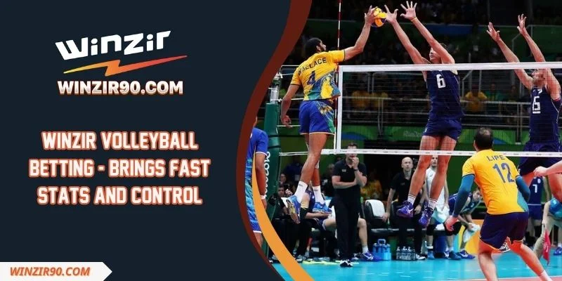 Winzir Volleyball Betting - Brings Fast Stats And Control
