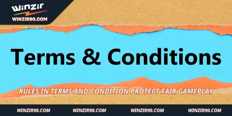 Rules in Terms and Condition protect fair gameplay