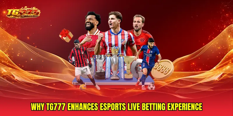 Why tg777 enhances Esports live betting experience